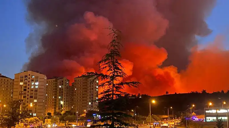 Bursa’da Yangınların Merkezine Dönüşen Şehir: Neden ve Sonuçlar