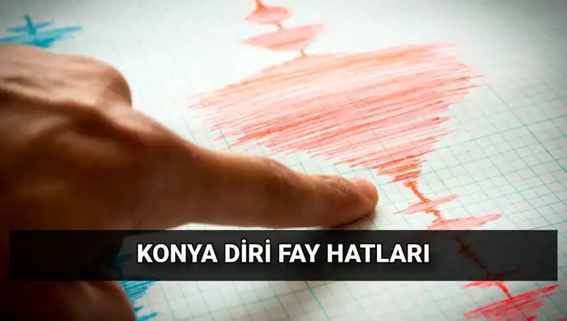 Konya'da Fay Hattı Var mı? Deprem Tehlikesi Hakkında Bilmeniz Gerekenler