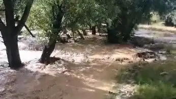 Mersin'de Aniden Bastıran Yağmur, Sel Felaketine Dönüştü