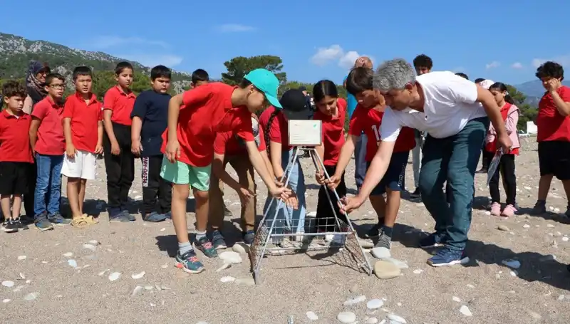 Kemer'de Caretta Caretta Koruma Yasakları Uygulanmaya Başladı