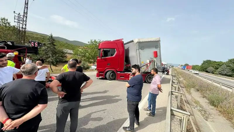 Seyir Halindeyken Arı Soktu: Araç Trafiği Kilitlendi ve Şok Oldular