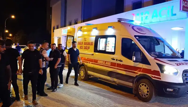 Kavga Eden Kardeşleri Ayırmaya Çalıştı, Trajik Bir Olayla Sonuçlandı