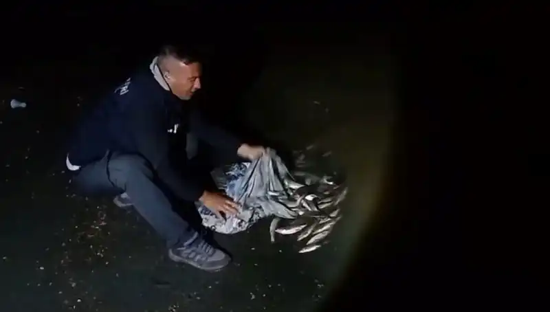 Bir Ton İncik Kefali Yakalandı: Avcılardan Rekor Kıran Yakalama
