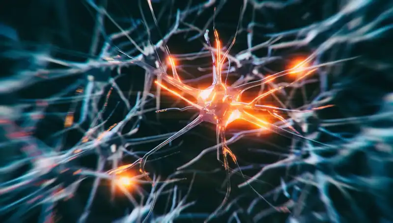 Alzheimer Vakalarındaki Artışın Altında Yatan Nedenler ve Çözüm Yolları
