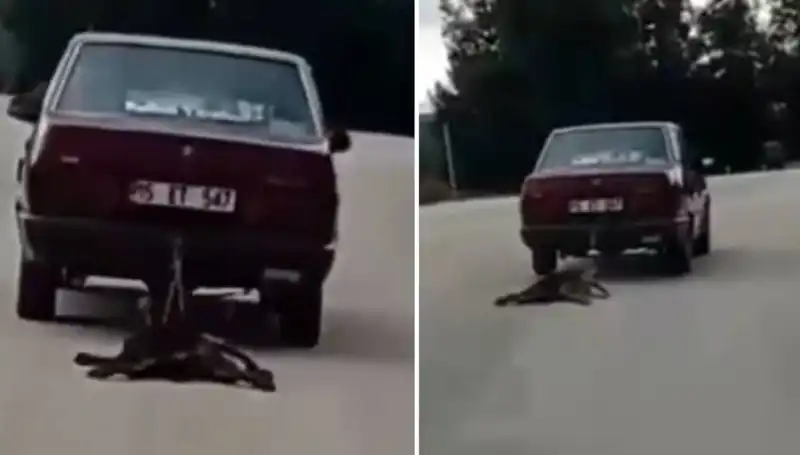 Bir Otomobilin Arkasında Köpeği Sürükleyen Şok Edici Olay
