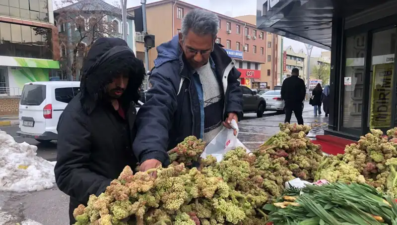 Kendiliğinden Yetişen Kanser Eşiği: Tezgahlardaki Yeni Vitamin Deposu