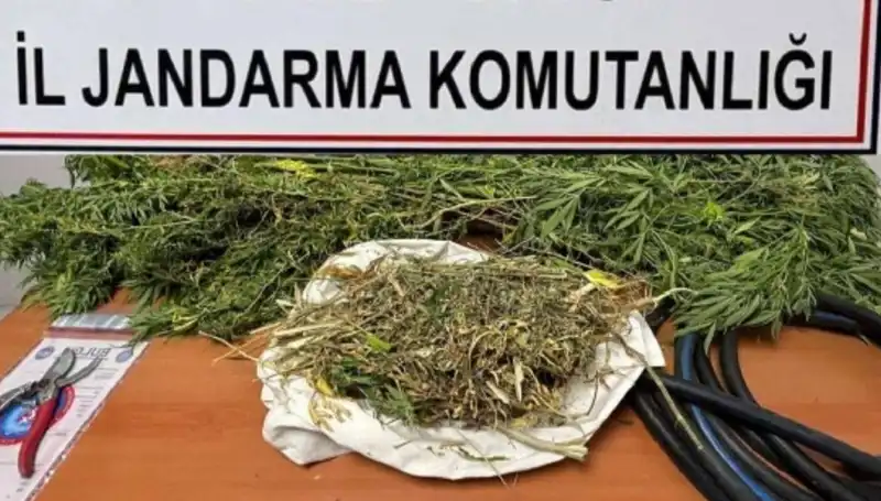 Niğde'de Uyuşturucu Operasyonu: Polis Ekipleri Üç Kişiyi Gözaltına Aldı