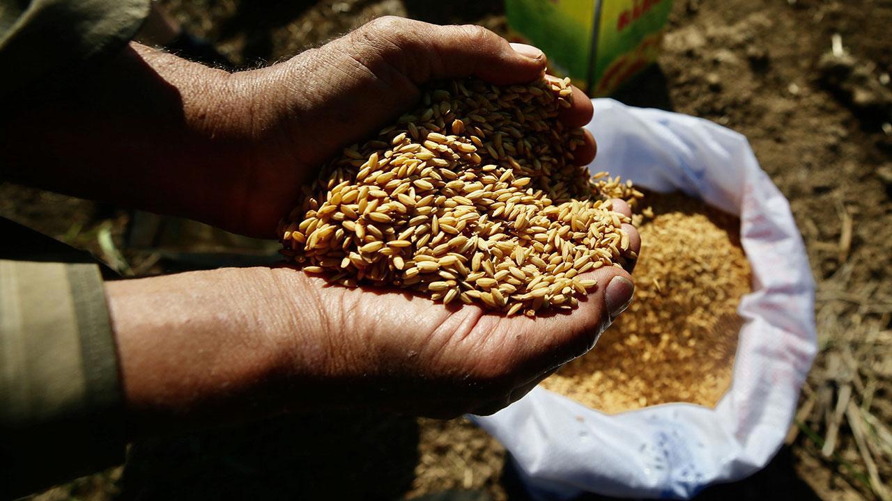 Ata Tohumları Artık Tarım Kredi Marketlerinde de Satışa Sunuluyor!