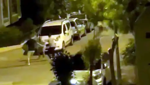 Avcılar'da Üç Kişinin Saldırısına Uğrayan Vatandaş Kurtarıldı: Gözler Olay Yerinde