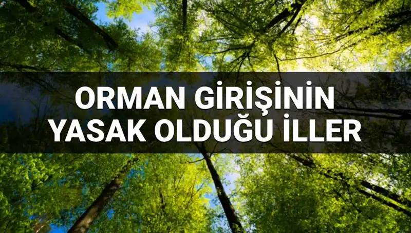 2025’te Orman Girişine Yasaklanan İller: Hangi İllerde Dikkat Edilmesi Gerekiyor?