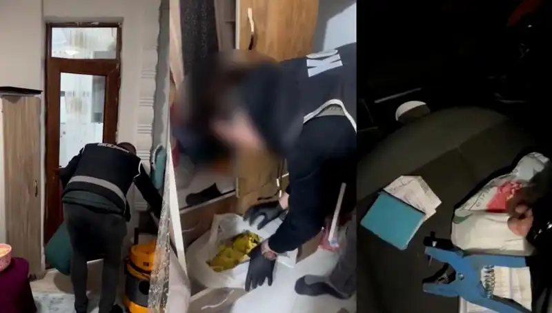 Hayvan Sevk Belgesi Usulsüzlüğü: Türkiye Genelinde 9 Kişi Gözaltında