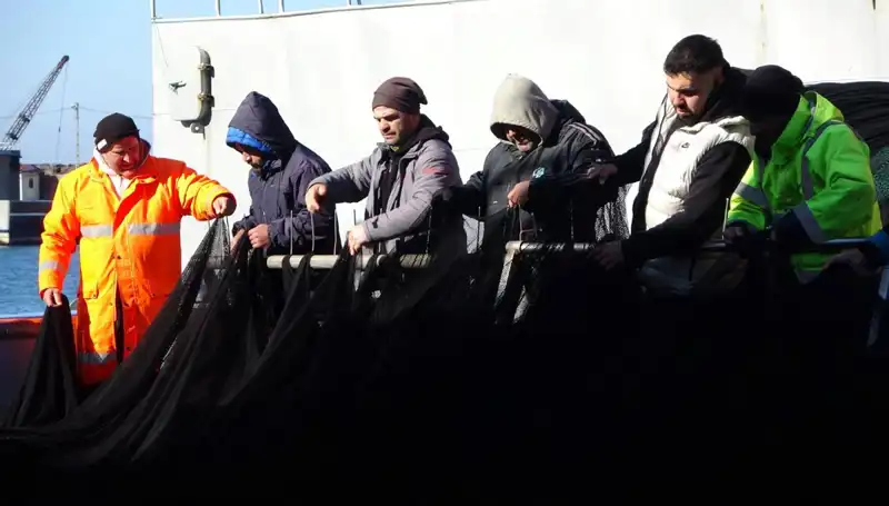 Hamsi Avında Son Darbe: Tekneler Erken Paydos Etti!