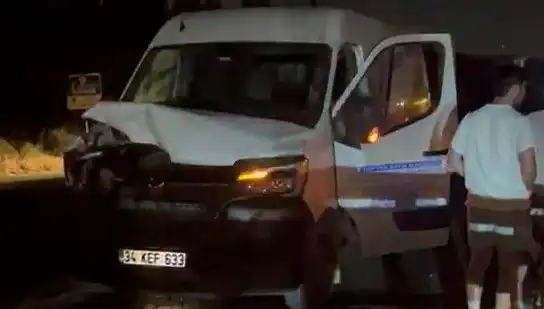 İstanbul'da Manda Kazası: Üç Yaralı, Olayın Sebepleri Araştırılıyor