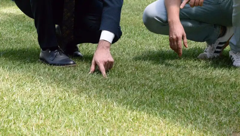Yeni Stadyum Zemini: Tartışmalar Devam Ederken 10 Gün İçinde Hazır Olacak!