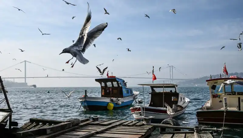 İstanbul'da Baharın Müjdecisi Hava Durumu: Tarih Belli Oldu