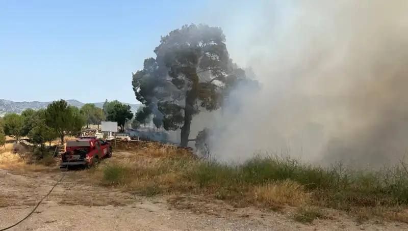 Muğla'da Kritik Orman Yangını: Ekipler Seferber Oldu