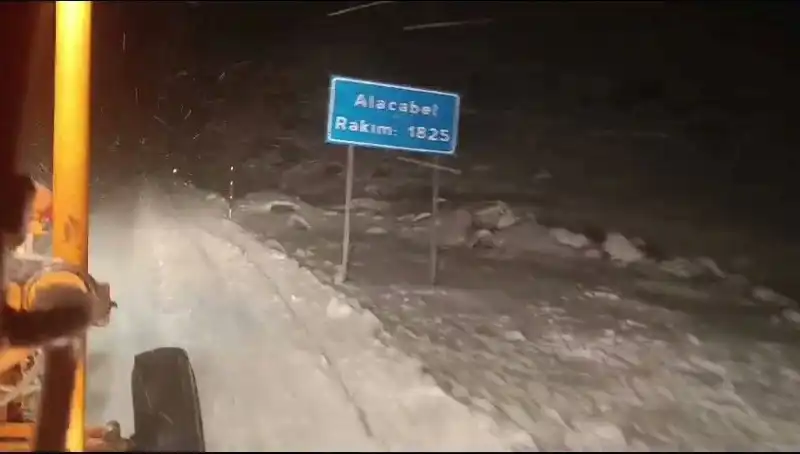 Antalya'da Kışın Beklenmedik Kar Sürprizi Yerel Hayatı Nasıl Etkiledi?