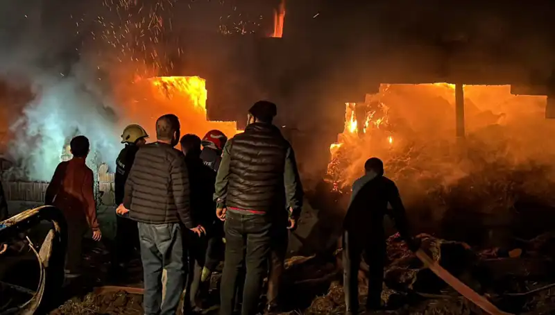 Bolu'da Korkunç Yangın: Ahırlarda Maddi Hasar ve Hayvan Kayıpları