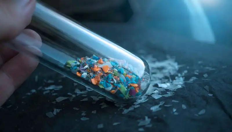 Mikroplastikler İnsan Beynini Tehdit Ediyor: Yeni Araştırmalar İle Gerçek Ortaya Çıktı
