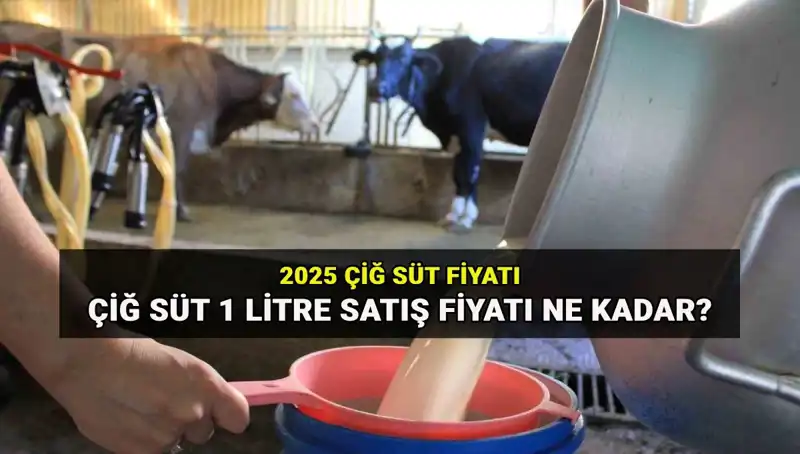 2025’te Çiğ Süt Fiyatları: Ulusal Süt Konseyi’nin Açıklamaları ve Etkileri
