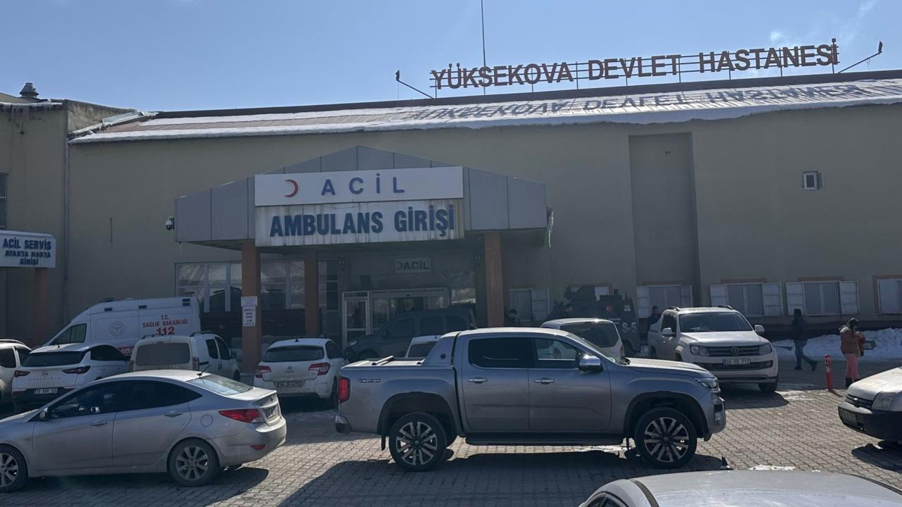 Hakkari'de Çocuğu Köpeklerin Saldırısı Sonucu Öldü