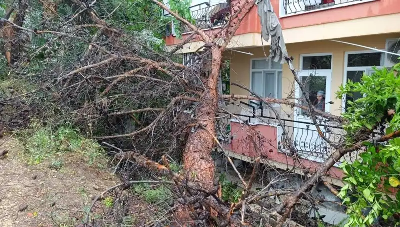 Sıradan Bir Gündoğumu: Yağmur, Binasını Yıktı ve Hayali Sona Erdi