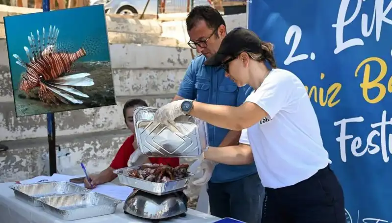 Antalya'da İstila Tehdidi: Aslan Balığı Avlama Yarışması Heyecanı