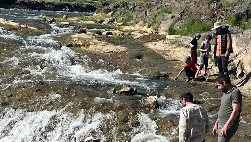 İnci Kefali Göçü: Doğanın Harikası Binlerce Turisti Cepten Uçuruyor