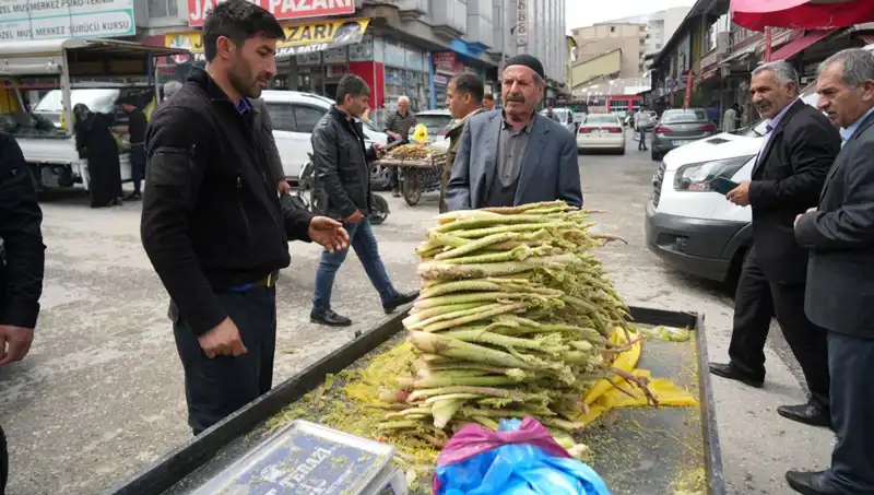 Dağlık Alanların Şifalı Bitkisi: Şeker, Kanser ve Mide Hastalıklarına İyi Geliyor