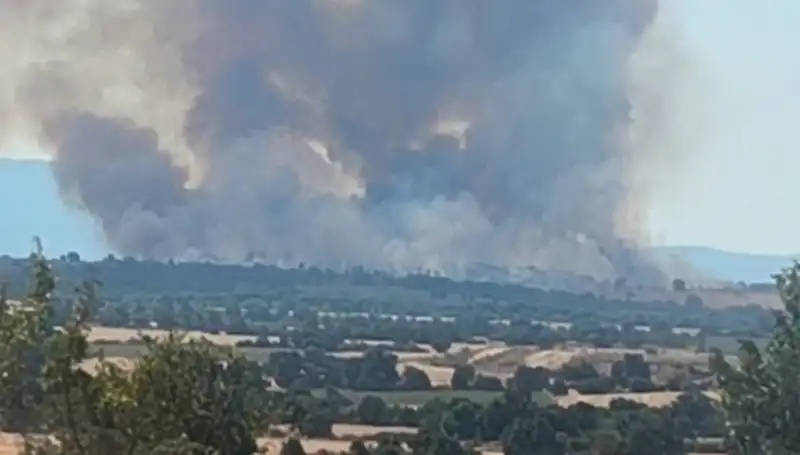 Komşudaki Orman Yangını Edirne'yi Sarmaladı: Neler Yaşandı?