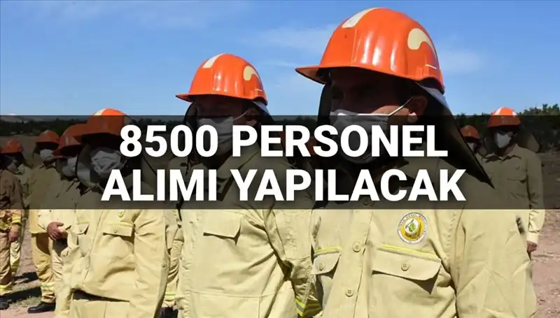 Tarım ve Orman Bakanlığı 2025’te 8500 Personel Alımı Yapacak: Şartlar ve Başvuru Tarihleri Açıklandı!