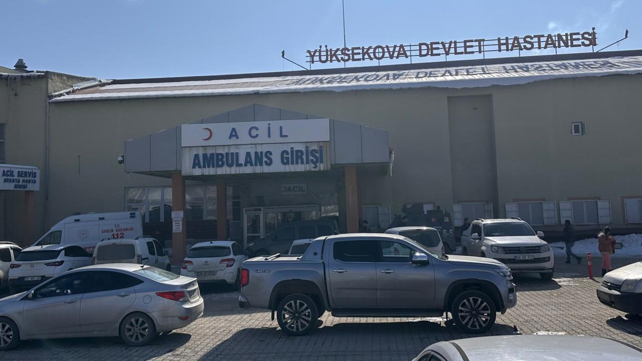 Başıboş Köpeklerin Saldırısında Ölen Çocuk Olayı