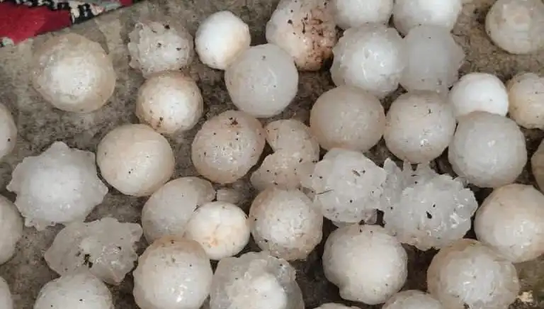Şanlıurfa'da Şaşkınlık Yaratan Kar Topu Büyüklüğünde Dolu Yağışı!