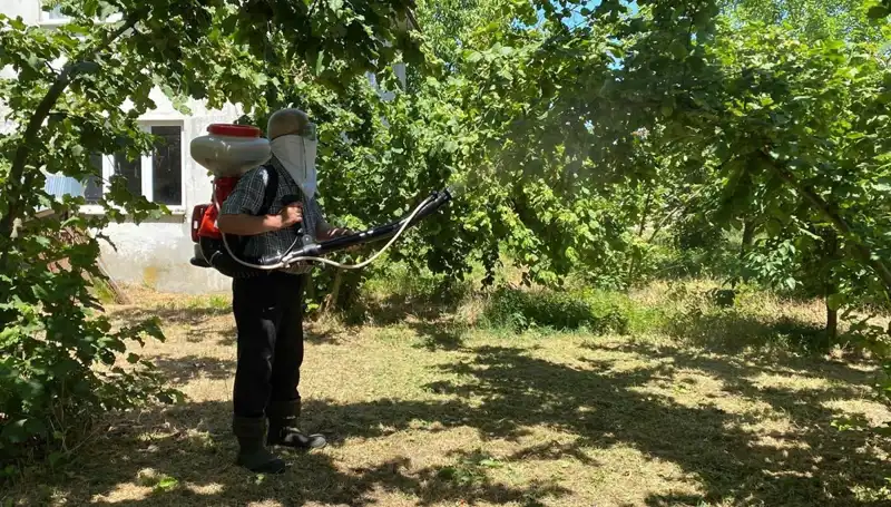 Çiftçilerin Umudu: Kükürt ve Samuray Arısı İkilisiyle Tarımda Devrim