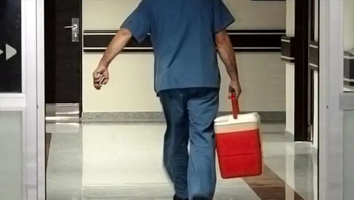 Organ Bağışında Yeni Dönem: e-Devlet ve e-Nabız ile Kolay Süreç