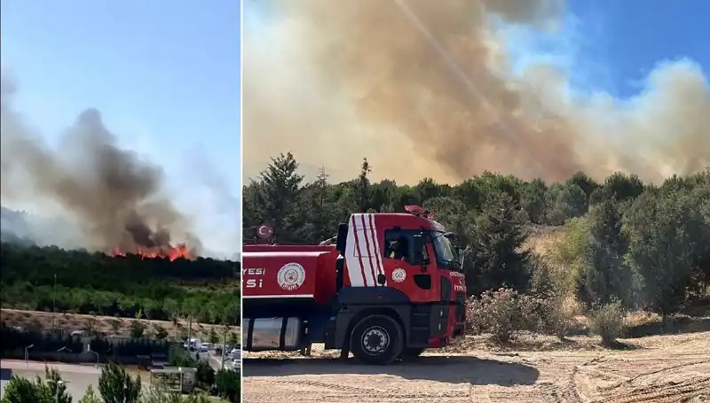 Gebze'de Eşsiz Doğaya İkinci Bir Darbe: Orman Yangını Korkuttu