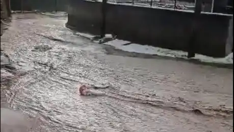 Sivas'ta Şiddetli Yağış ve Dolu Felaketi: Sele Dönüşen Düşler