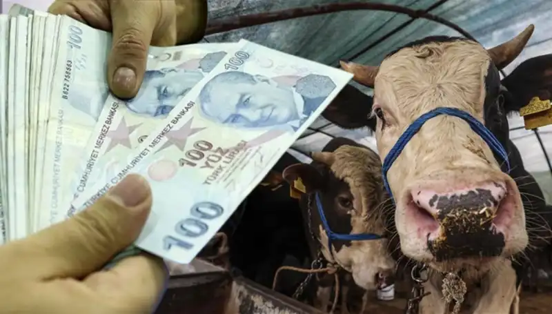 Kurban Bayramı Öncesinde Emekli ve Memur Maaşları Yatacak mı?