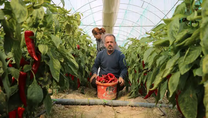 Fiyat Artışları Şaşırttı: Ürün 50 TL’den 80 TL’ye Çıktı!