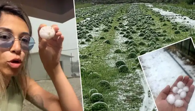 Antalya'da Dolu ve Hortum Felaketi: Hayatını Kaybedenler ve Yaralılar