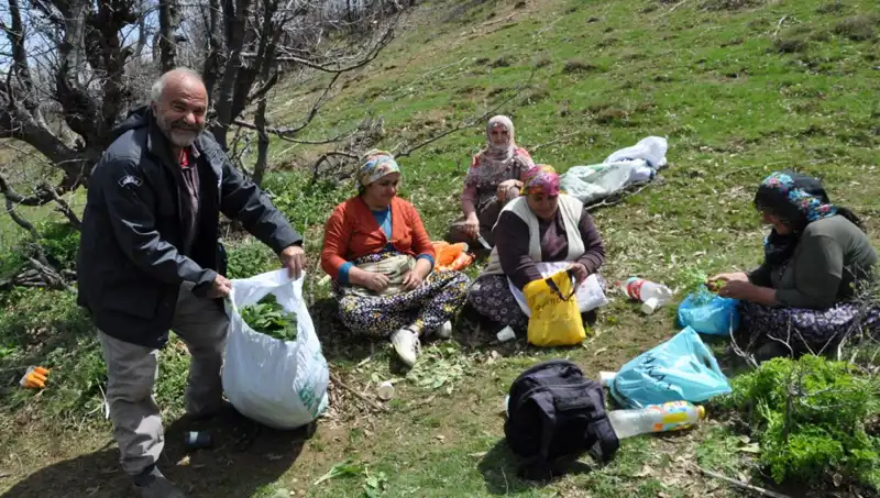 250 Liralık Yüksek Değer: Ailelerin Geçim Kaynağı İçin 5 Saatlik Yolculuk