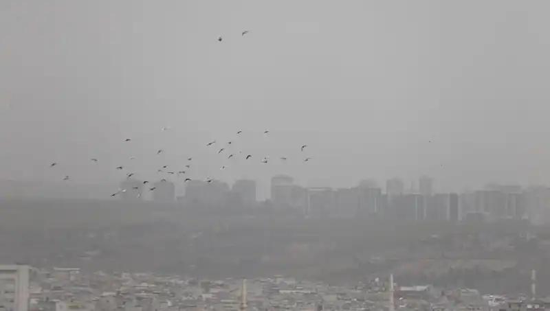Şanlıurfa’da Toz Bulutu Alarmı! Hava Kalitesi Tehlikede