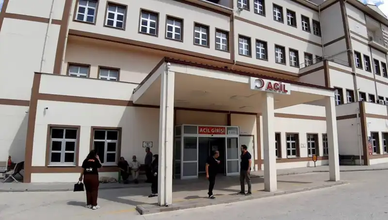 Bolu'da Ayı Avı Kararı: Tartışmalar Hız Kazanıyor
