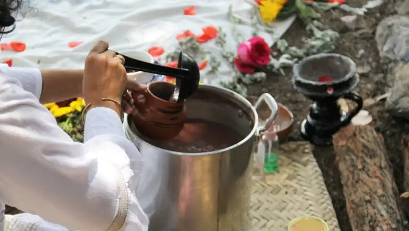 Ayahuasca: Gizemli İçerikleri ve Yasal Durumu Hakkında Bilmeniz Gerekenler