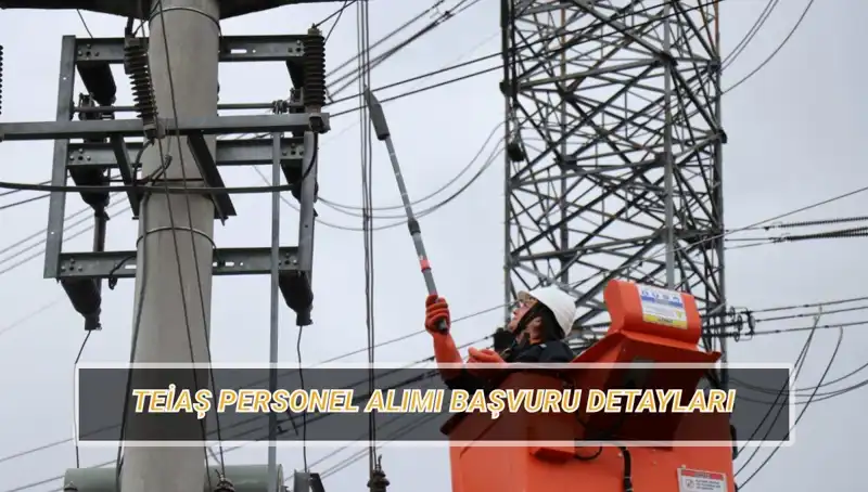 TEİAŞ Personel Alımı 2023: Başvuru Tarihleri ve Şartlar Belli Oldu!