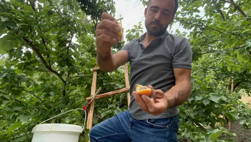 Damak Çatlatan Lezzet: 50 TL ile 70 TL Arası Fırsat!