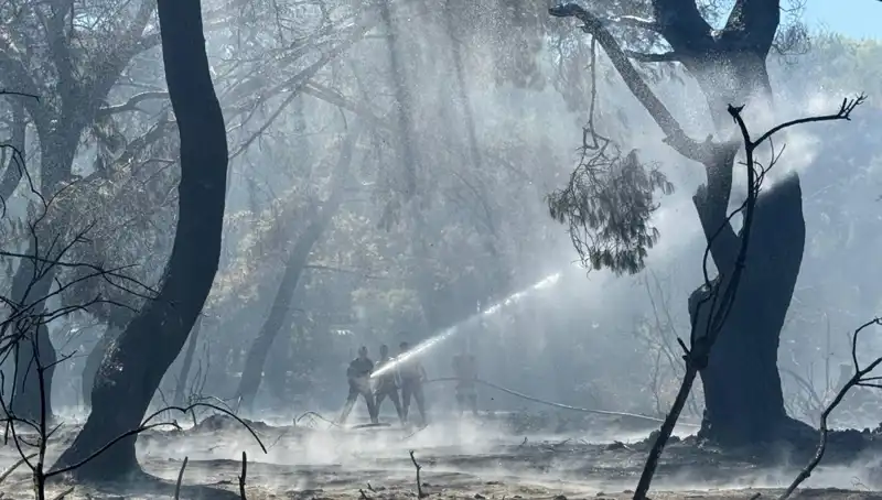 Çanakkale, Antalya ve Hatay'daki Yangınlar Kontrol Altına Alındı! İşte Son Gelişmeler