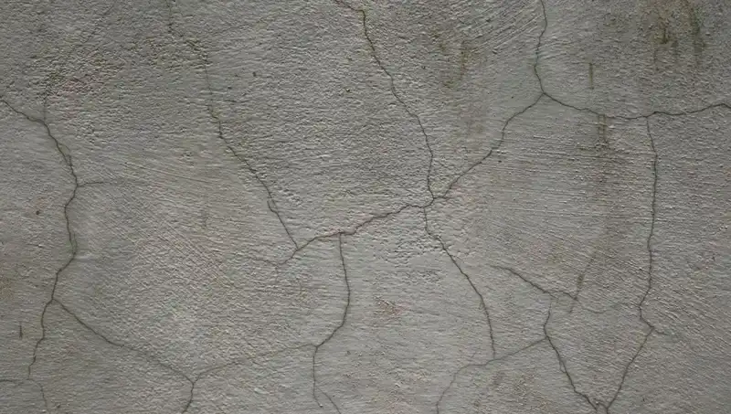 Dünyayı Değiştirecek İnovasyon: Canlı Beton Artık İcadımız!